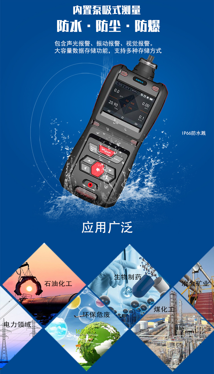 便攜泵吸式天然氣氣體檢測報警儀